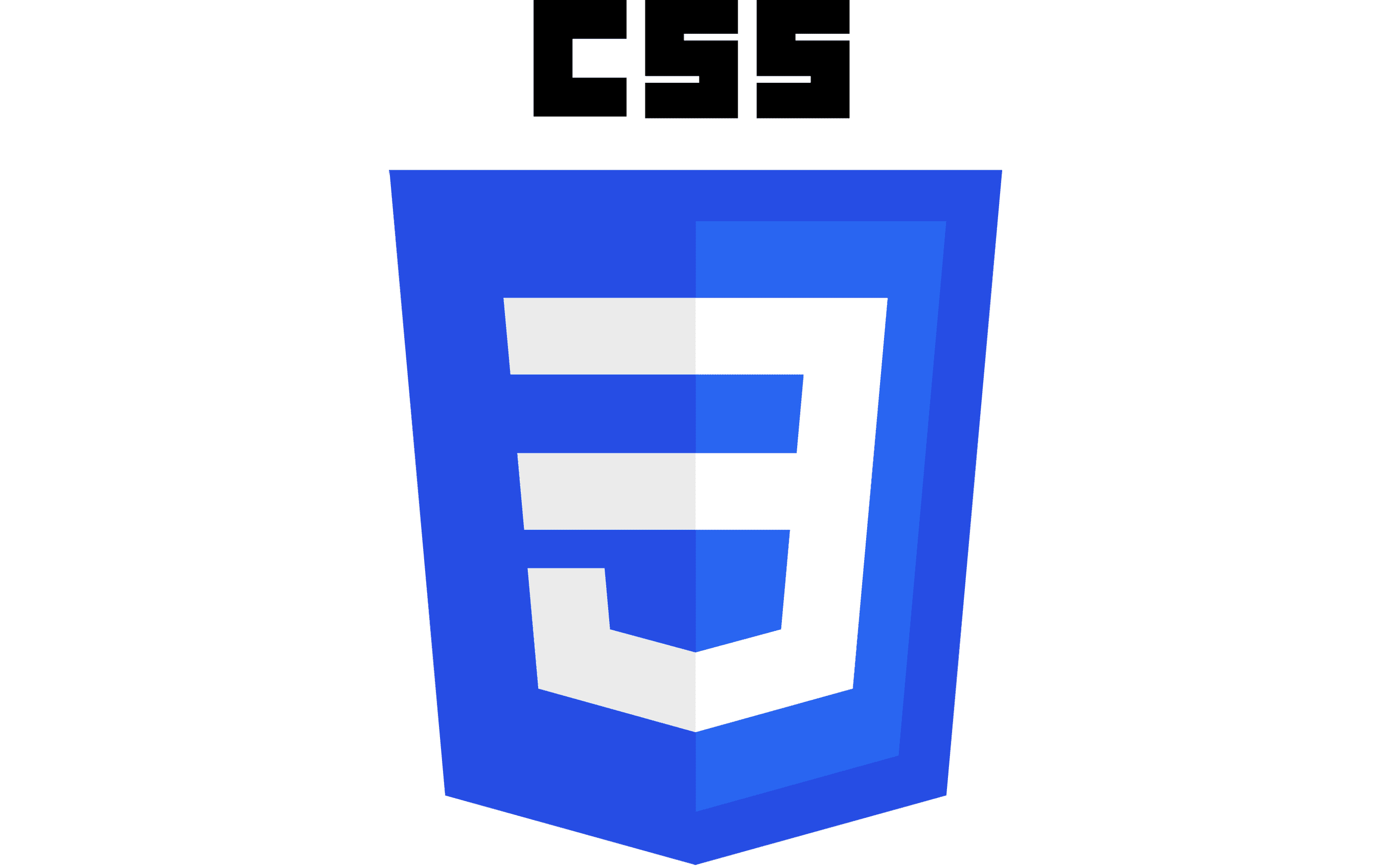 Logo do CSS3